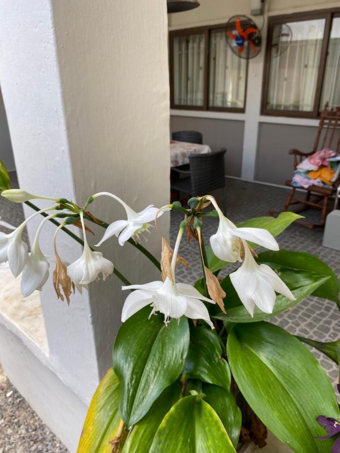 Gardenia Apartments Pereybere Beach Eksteriør billede